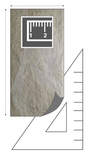 Slate-Lite Tan⁠