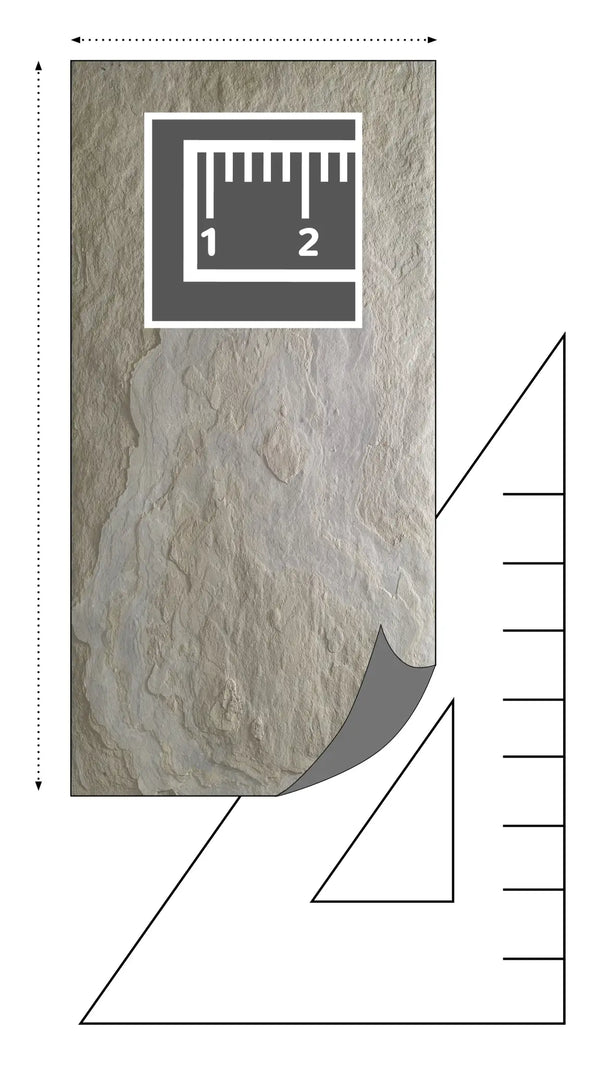 Slate-Lite Tan⁠