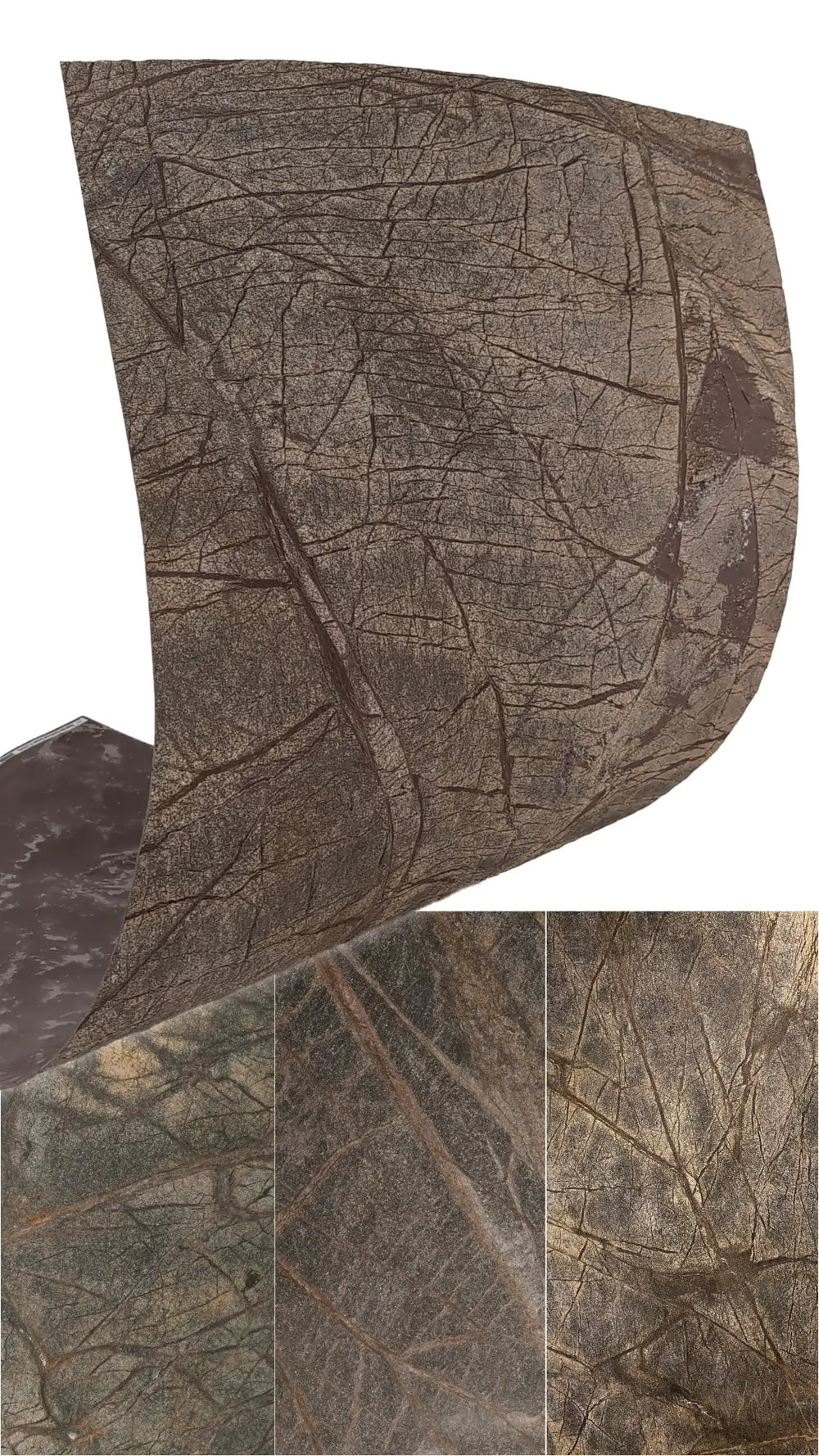 Slate-Lite Rainforest Brown⁠