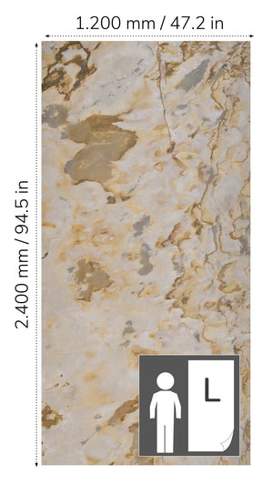 Translucent FALLING LEAVES⁠