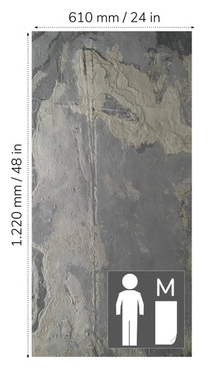 Translucent RUSTIQUE⁠