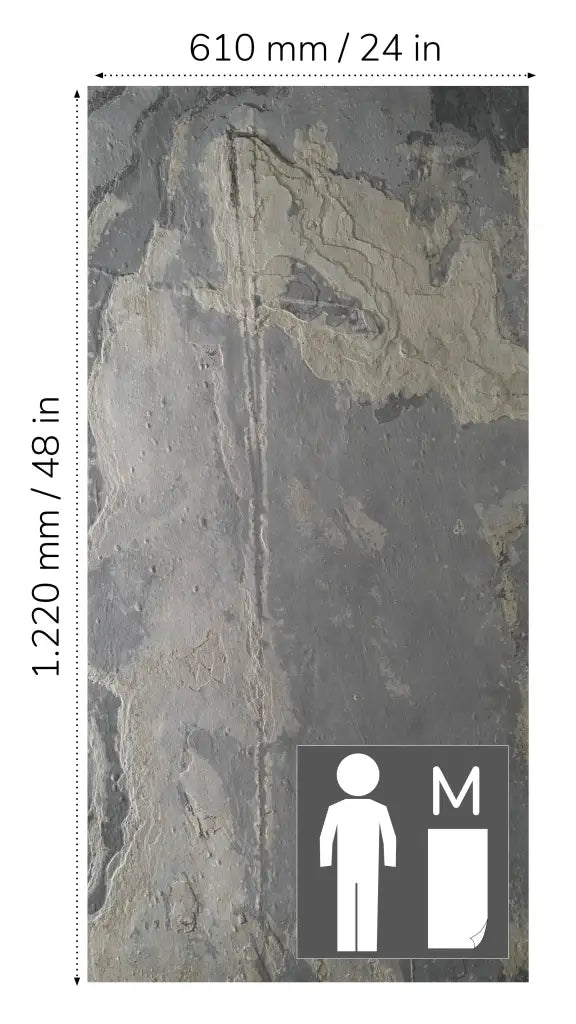 Translucent RUSTIQUE⁠