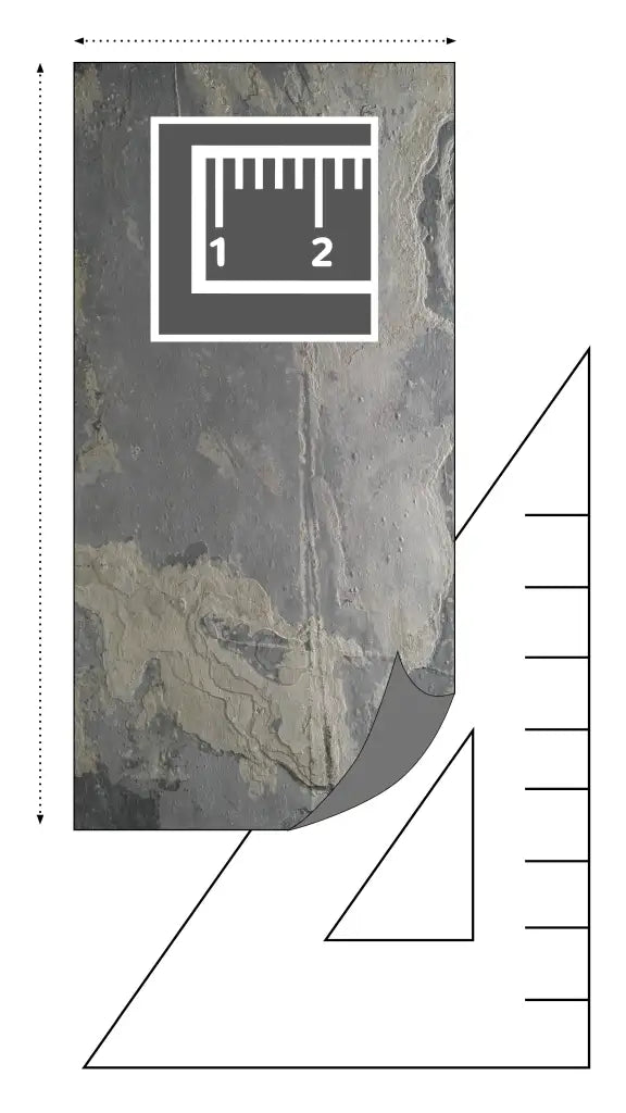 Translucent RUSTIQUE⁠