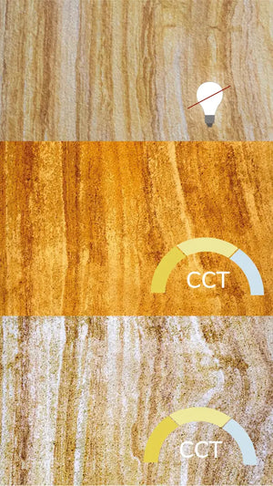 Translucent Teakwood Bookmatching⁠