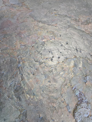 Slate-Lite Burning Forest surface detail