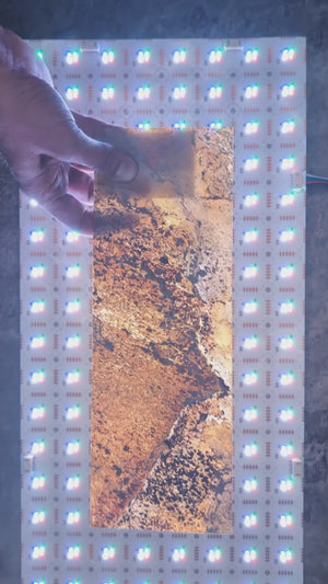 RGBW LED Sheet 19 5/16" × 9 5/8"